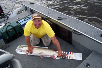 ebe457ef-cd65-4f7b-9236-c961a562066c