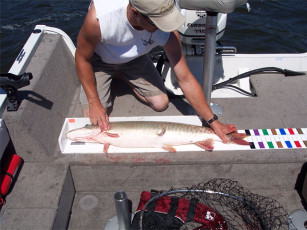 ed5ec42c-572e-4e21-b427-5c1b8cf952b4