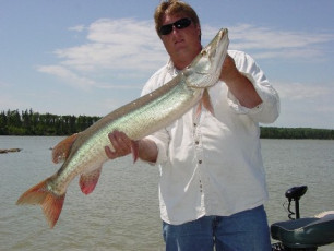 ed60e448-78f5-47bb-8e37-efbcf0a0673a