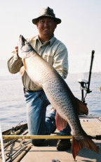 efecf85f-805a-4ee8-84b0-3fdee034ab79