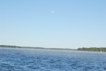 f14ce4e6-d9f7-4d6e-a6cb-08b37f697c6e