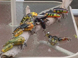 f18f50ad-da39-4aa9-b354-8ac55dcc0a59