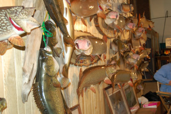 f4ecf3b9-0ae9-43a4-8307-919d643af689