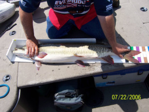 f69505ed-2505-407a-b170-f4fe0d66eac2