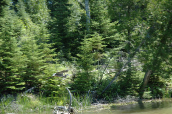 f6c91f01-41cb-433f-ba9f-e0ccf1941725