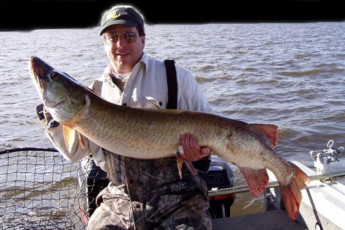 f73b8163-6e41-4f67-b4de-a1b2689d460e