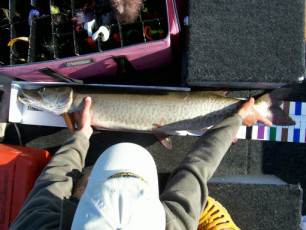 f8d6285f-fbb2-4fe6-a05a-516da0cd587b