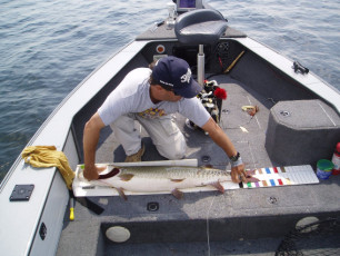 f93cc26b-c38d-4753-b0d8-325870ca5ffb