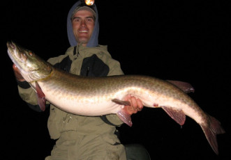 f99af6ec-2c87-4cdf-9725-10a8f8914b44