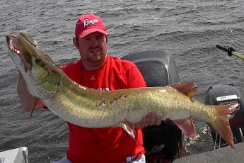 f9b1a5f2-2b9e-41db-930a-2a8067f3179f