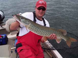 fb5721d2-ace2-4f25-b0cd-c64003a5f003