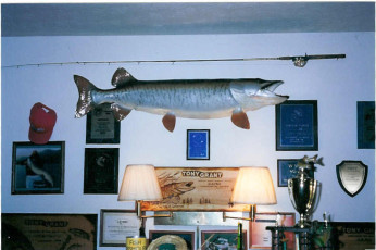 fc9081d4-30f3-4785-89c7-631d214217db