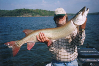 fe5cb720-9f02-441f-9779-3818cebcedb4