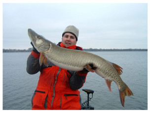 fe97dc2d-a327-4ebe-bbe2-07a1af4eef57