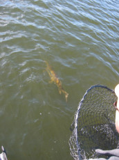 ff17e168-f7e7-4cf6-b8bf-7f8fd8df5cd4