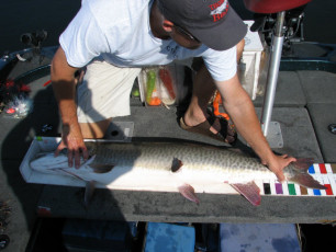 ff35b3a7-b9b1-41d5-9e60-c3c2dc8ee98f