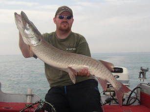 ff909698-63ee-431d-99a0-dce9a55dc880