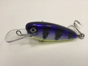 Blue Perch 4 Rippin Shad_preview