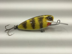White Belly Brown Perch 4 Rippin Shad_preview