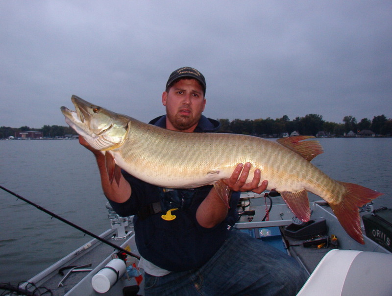 Big muskie caught on Chautauqua Lake in Jamestown, NY on 9/23/2009