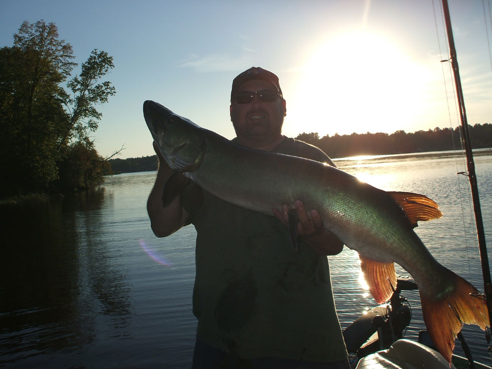 Big muskie caught on Holcombe in Holcombe, WI on 8/28/2010 | MuskieFIRST