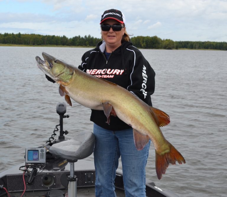 Big muskie caught on Turtle Flambeau Flowage in Mercer, WI on 9/9/2012