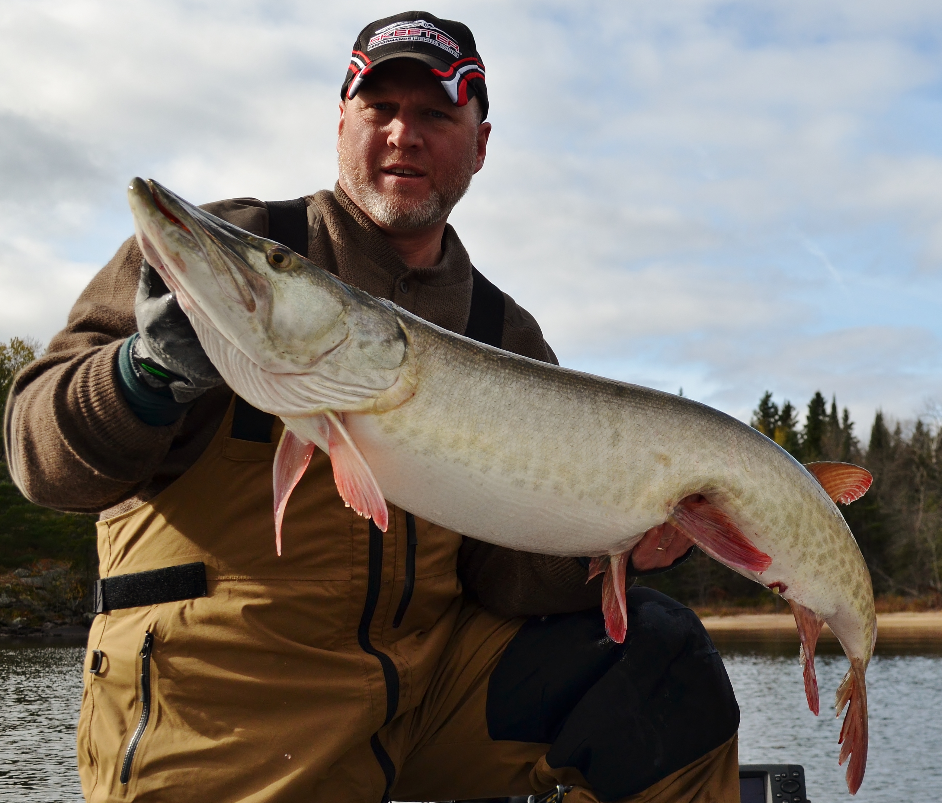 Big muskie caught on Potato Lake in Park Rapids, MN on 10/26/2013