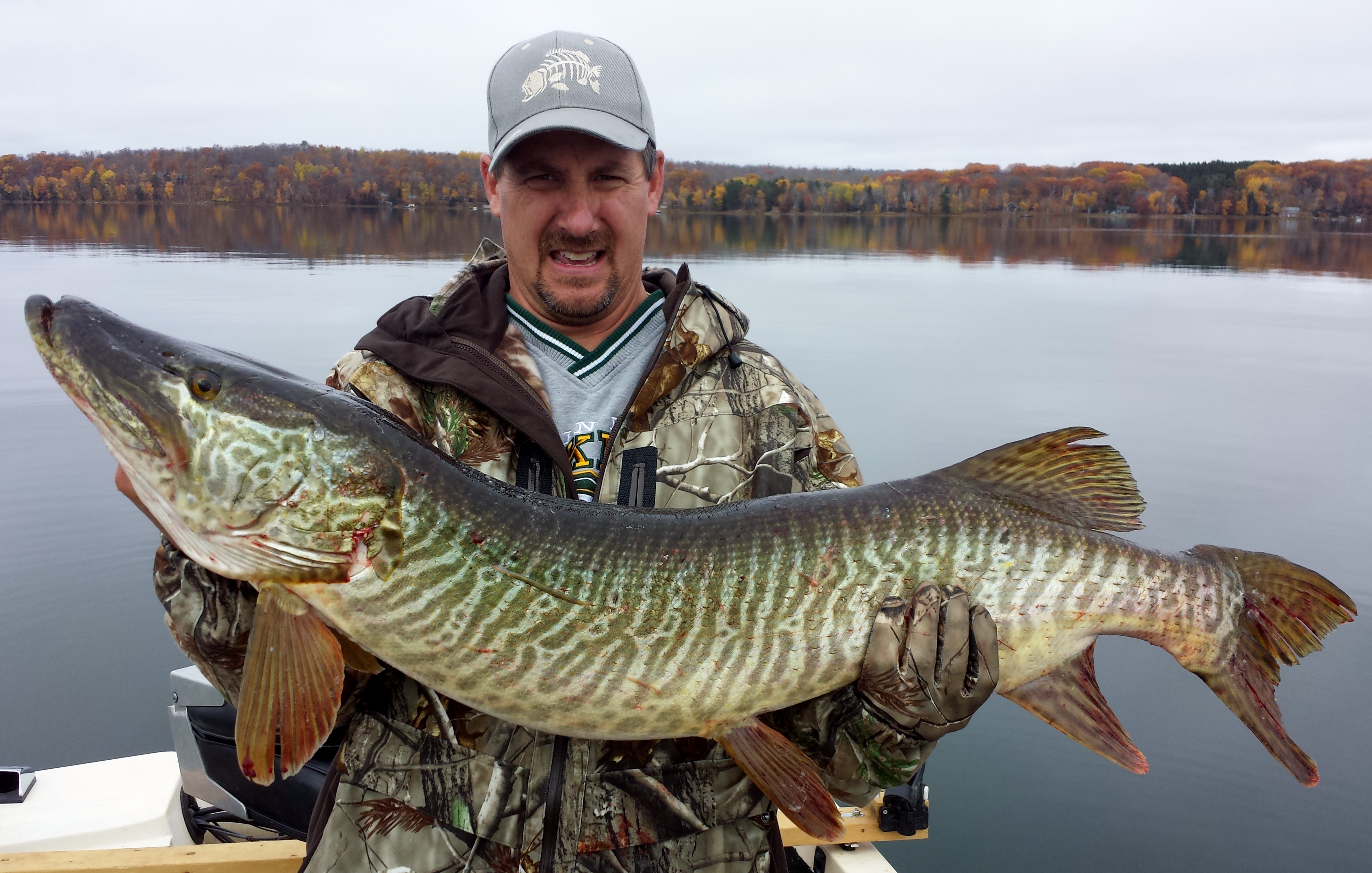 Big muskie caught on Big Sand lake in Phelps, WI on 10/16/2014