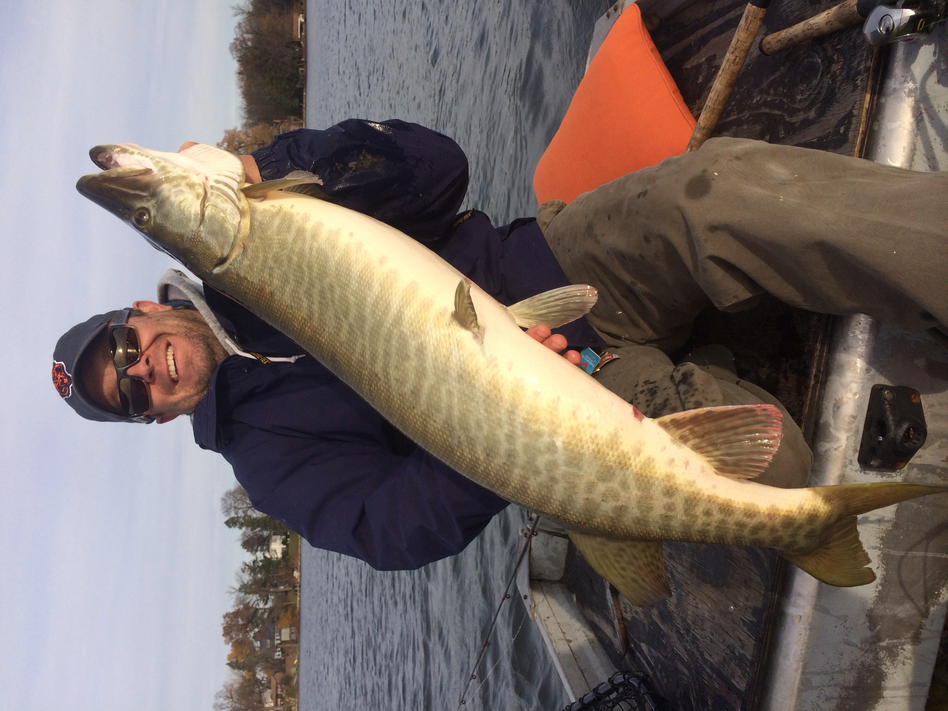 Big muskie caught on Lake X in Chicago, IL on 11/6/2014 MuskieFIRST