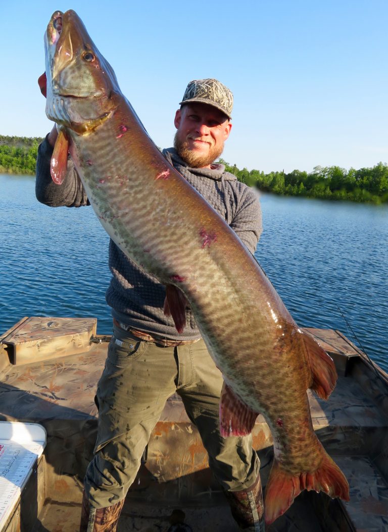 Big muskie caught on Lake X in Vilas County, WI on 6/6/2018 MuskieFIRST