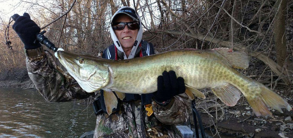 Learning lessons from landing tiger musky: Tom Shank's Woods & Waters