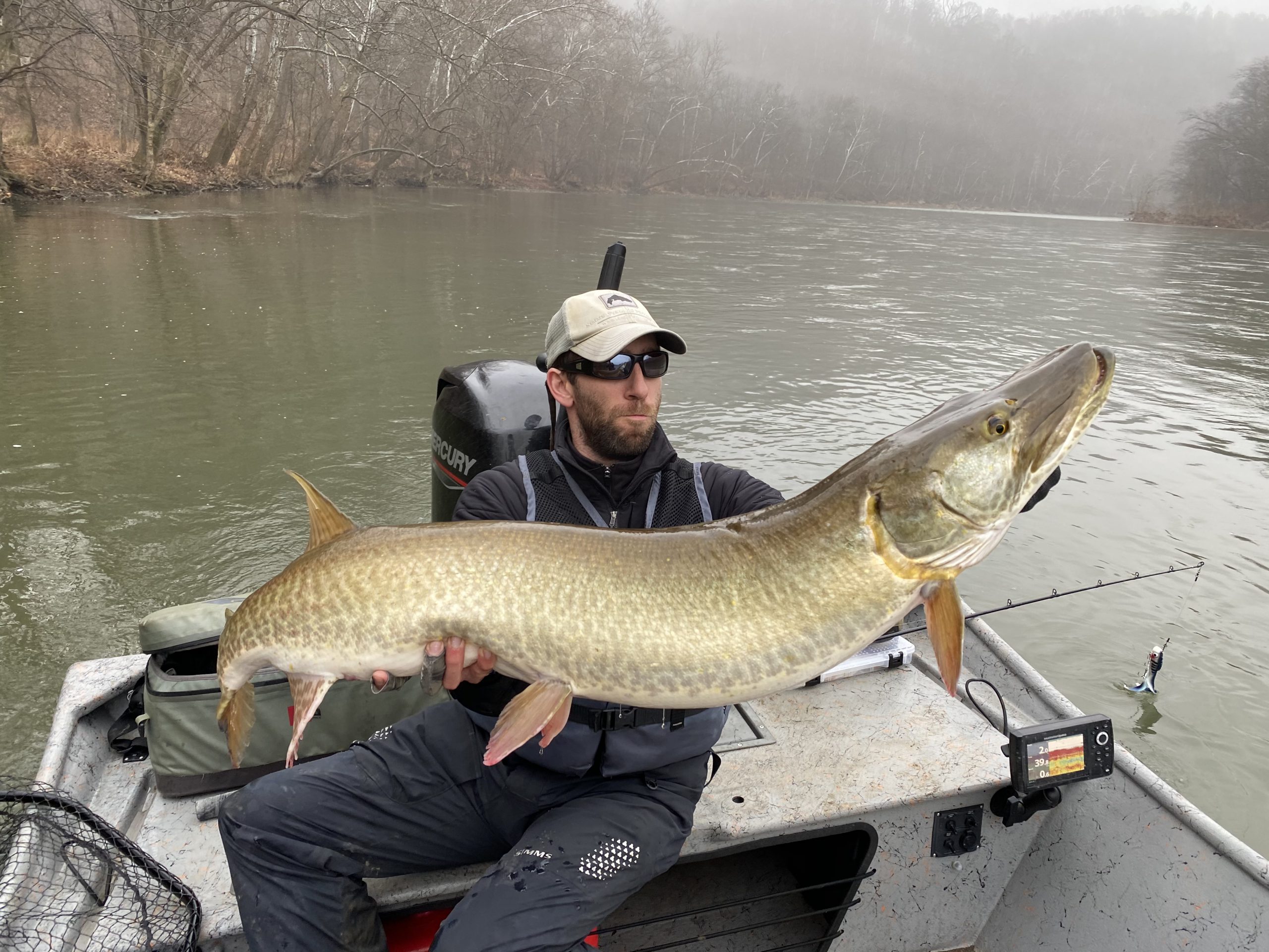 50.5 inch muskie on Yough River in Pittsburgh Pennsylvania on 12/28/2019