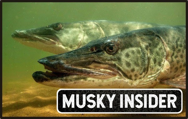 The Ins And Outs Of Spring Muskie, EARLY SEASON
