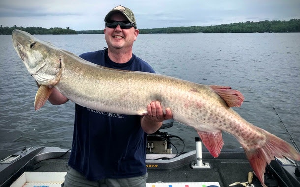 Under-looked Handling Tip – New Musky Rods – 10 Graphs on a Boat – Musky  Insider