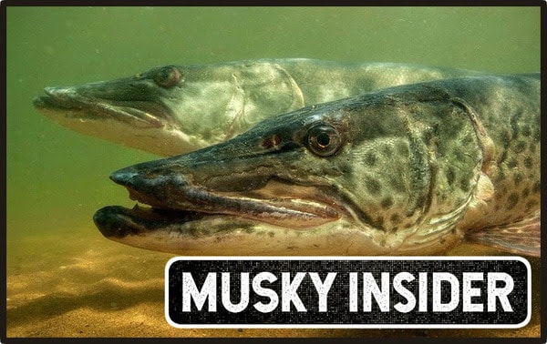 August Musky Baits – Musky Fertilizer (?) – Underwater Pack