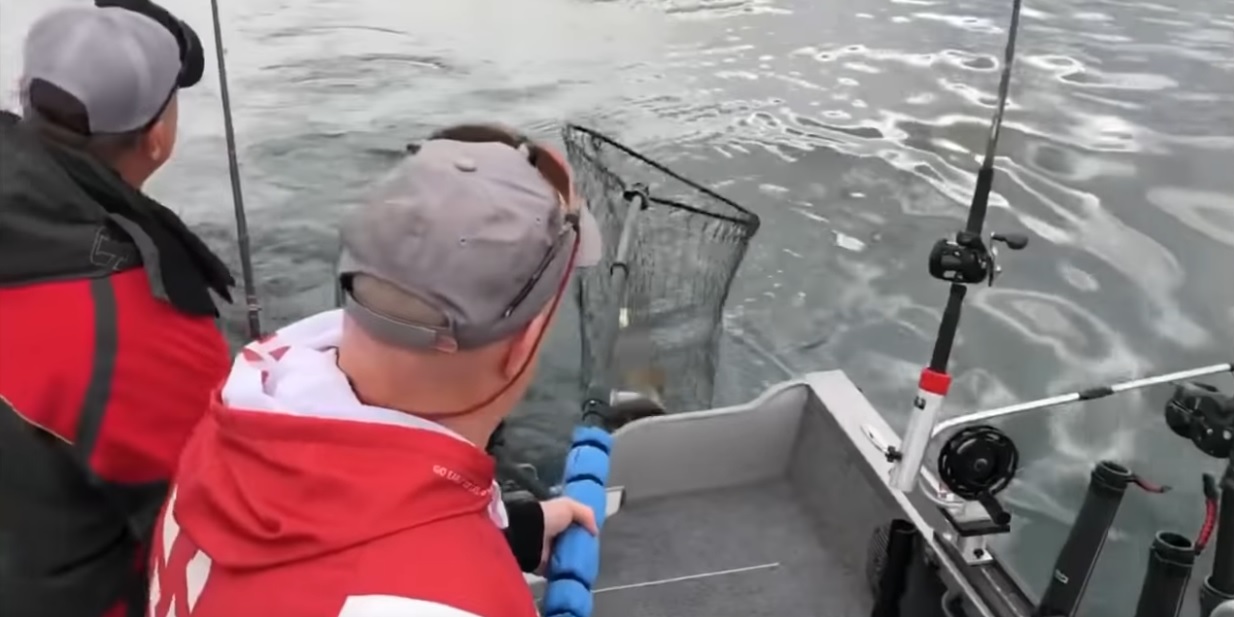 Lake Michigan Salmon Fishing SalmonFIRST
