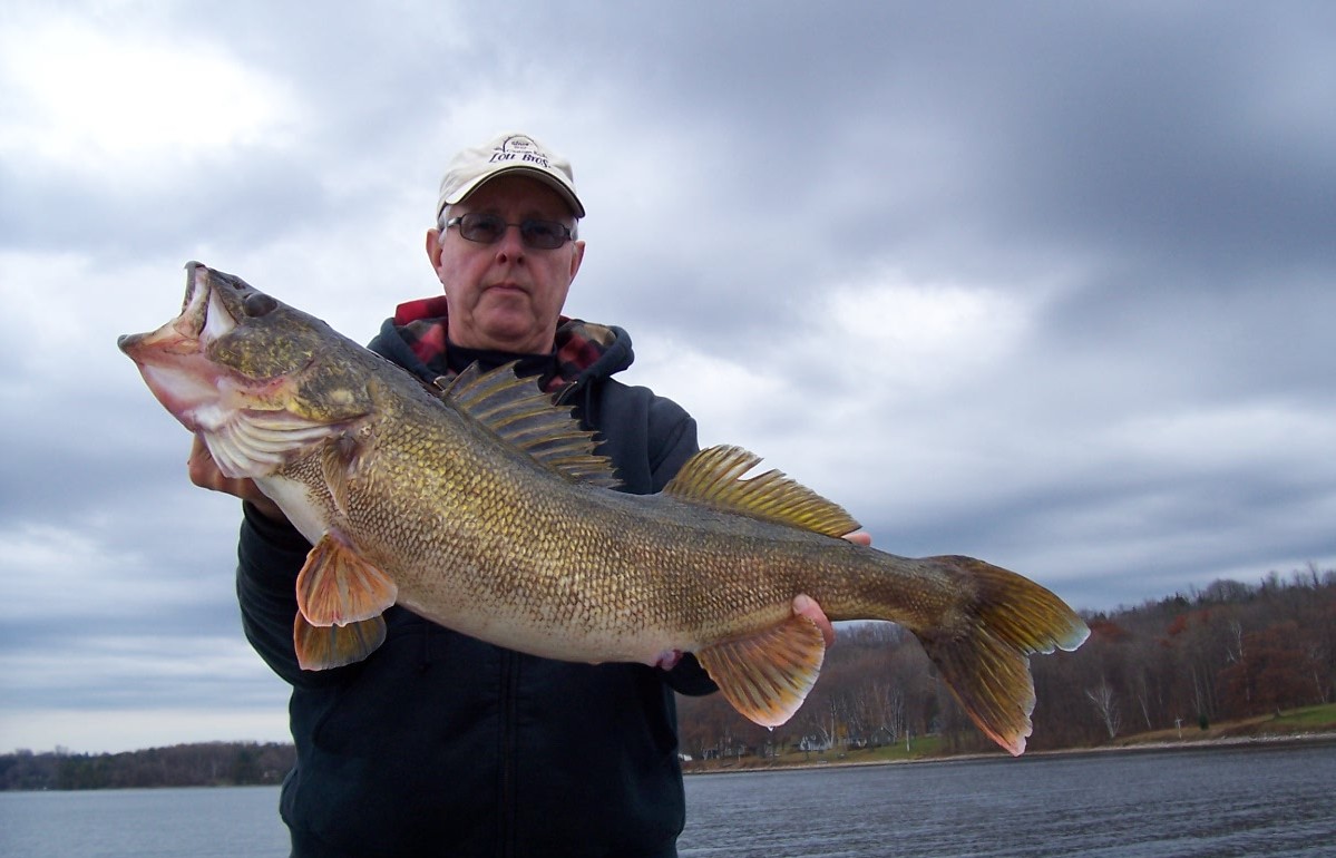 Big Walleye caught on Lake Ontario Bay of Quinte in Picton, ON on 11/14/2011 WalleyeFIRST
