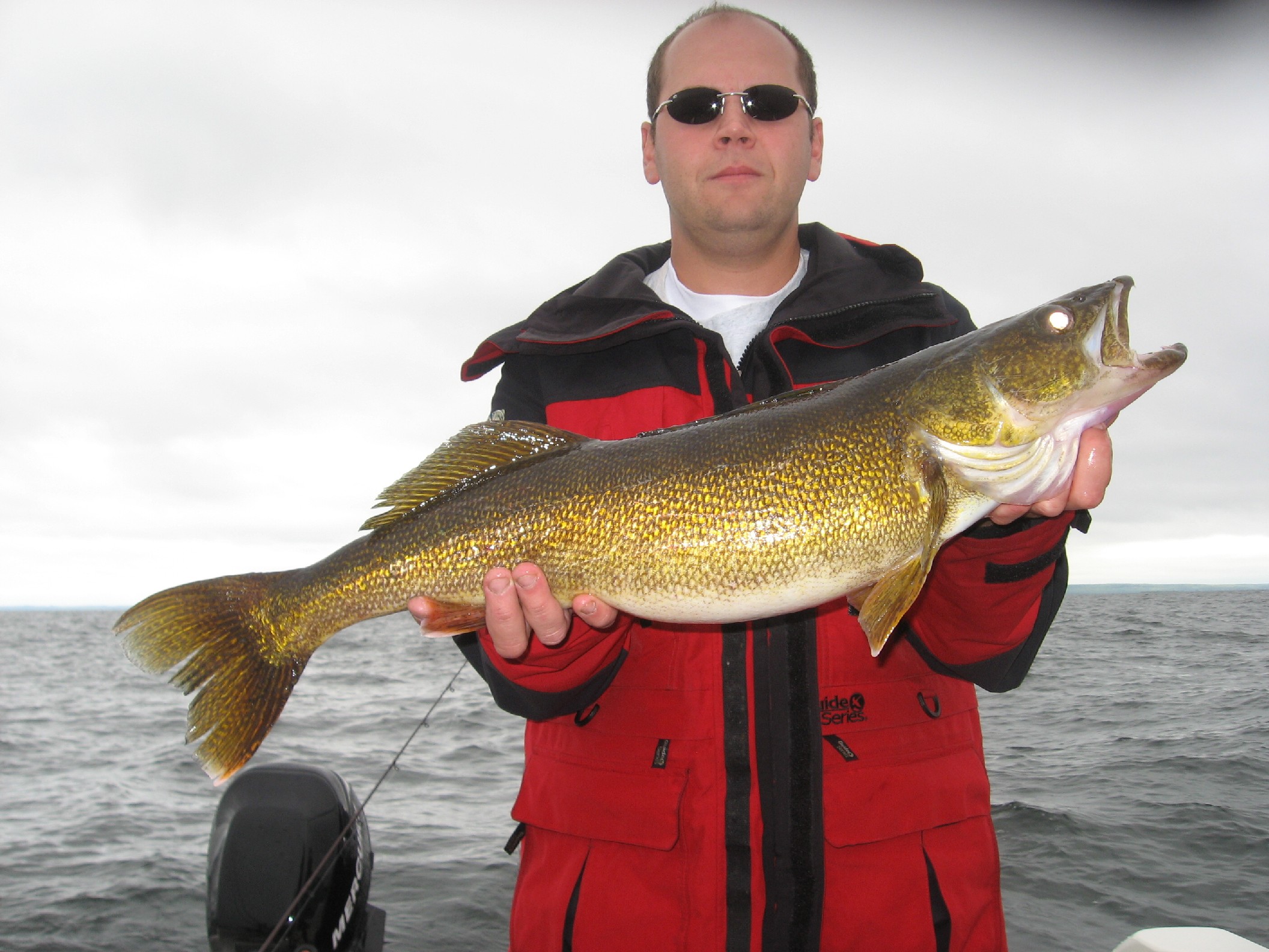 Big Walleye caught on Lake Michigan Green Bay in Green Bay, WI on 8