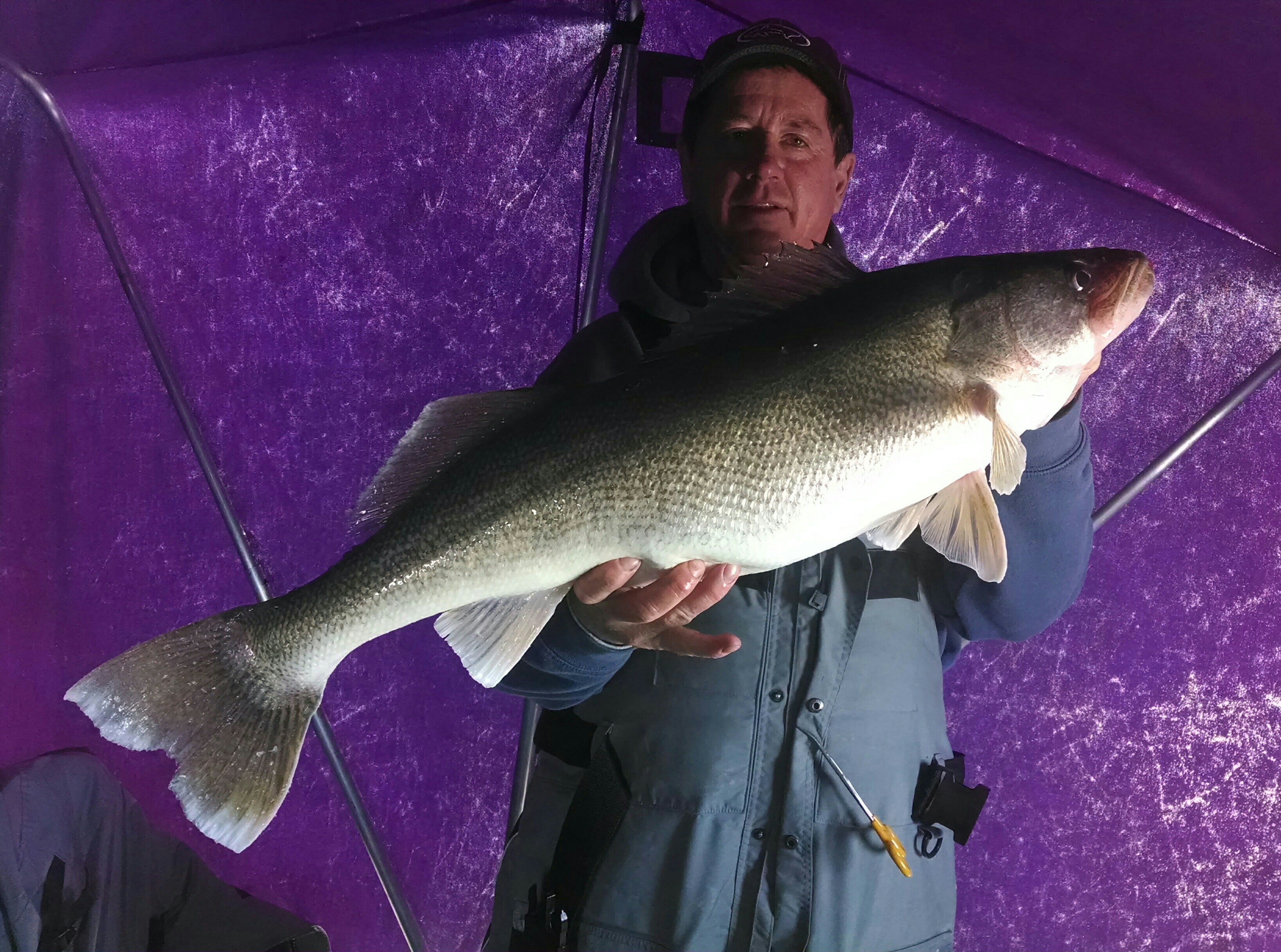 Big Walleye caught on Lake Erie in Port clinton, OH on 3/5/2013