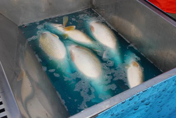 00123C09-FBB3-491E-B6DA-05EA182D5152