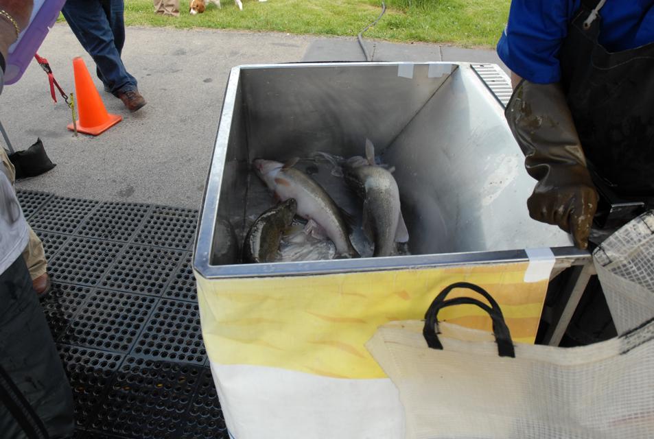 01D082C2-03FA-4491-AE55-E62F652FE6A2