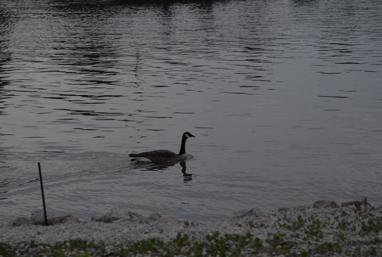 07ADC254-C04B-4273-9B4F-E52B987509A8