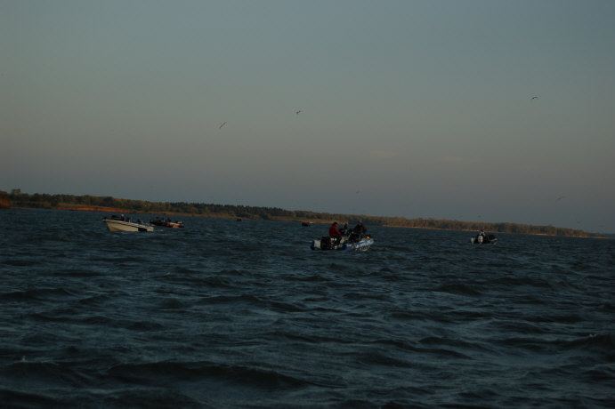 0897A711-E222-409D-84D4-BFD80B642B91