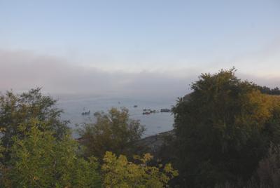 089F19E2-98A7-45F8-8B44-86B50B8E63B0