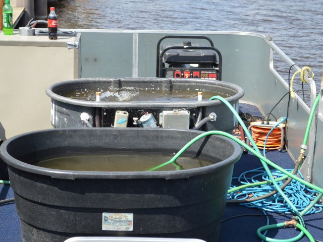 15422D2A-CFB1-4DBE-8BCF-2CF230AFA8AD