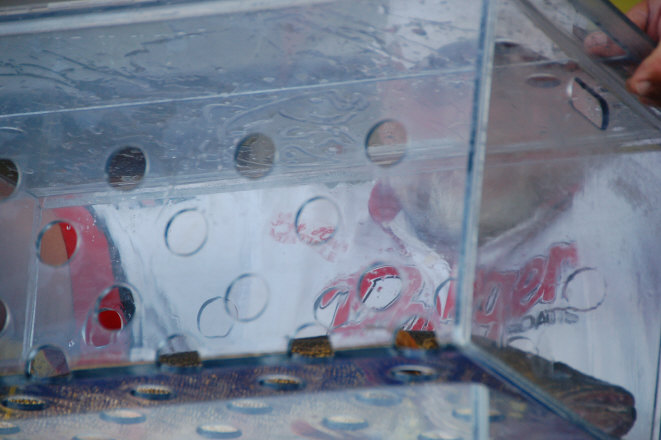 1D5E21FF-FADF-405C-9D2B-9BBC12BC12C2