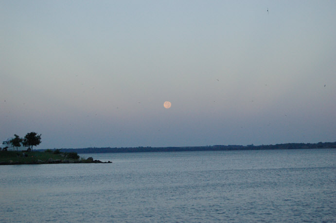 1E504FF4-A8B1-4114-B41A-AE0AC0A67037