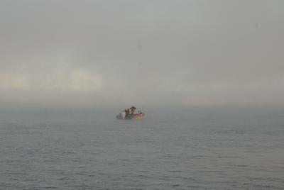 2374DF4E-AA2F-49BA-9698-C274A72EFC63