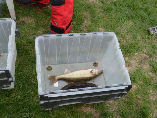 3A2028C7-D823-4491-A8C1-96D15D4EB8B9