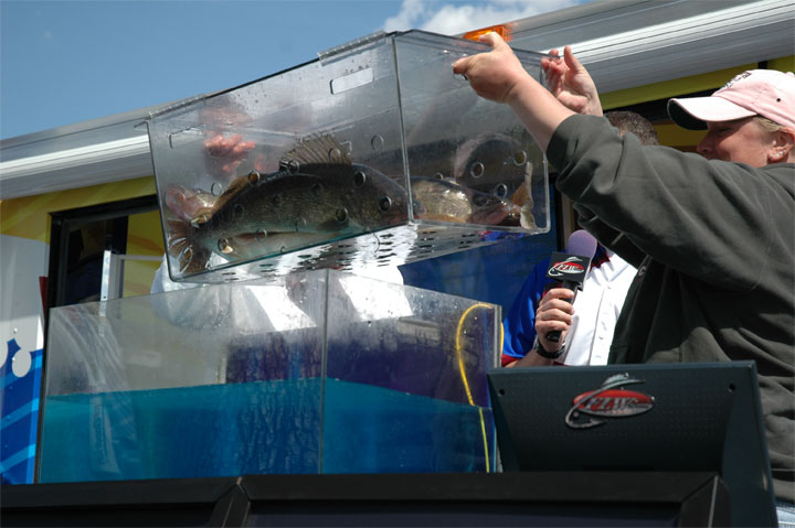 3B8C2E80-398C-4D1D-B2ED-5A541AFF598F